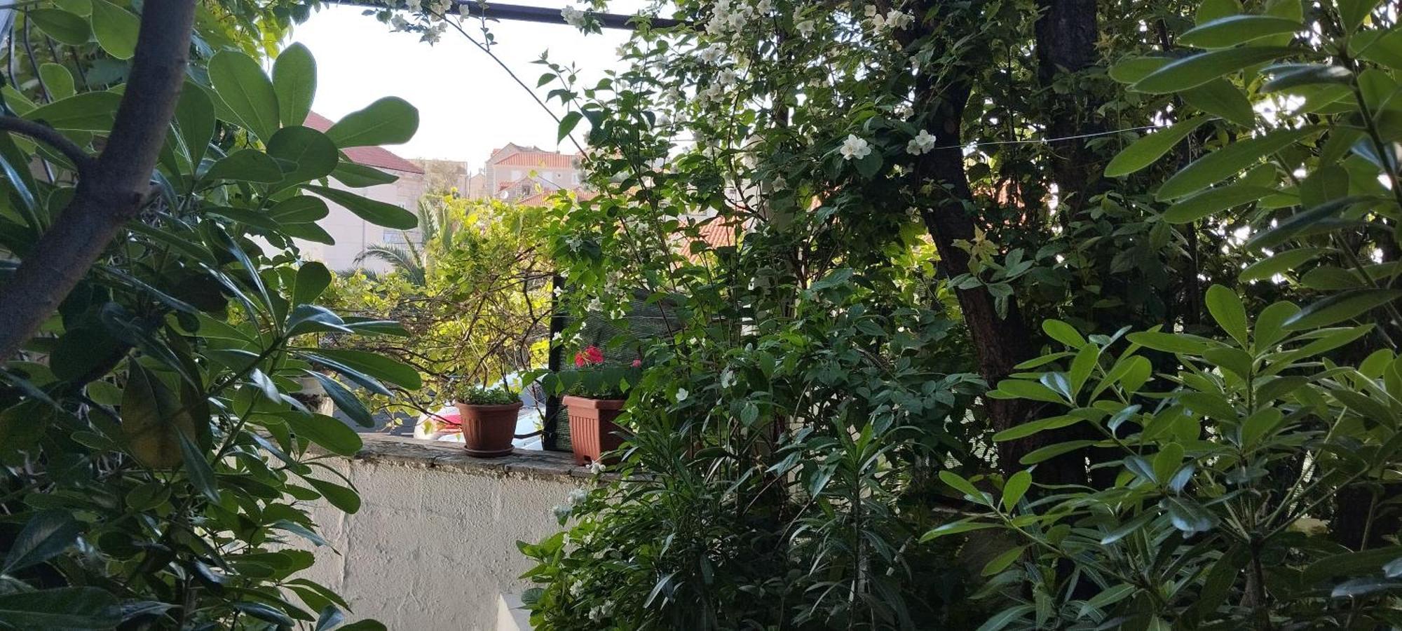 Apartment Maskaric Cavtat